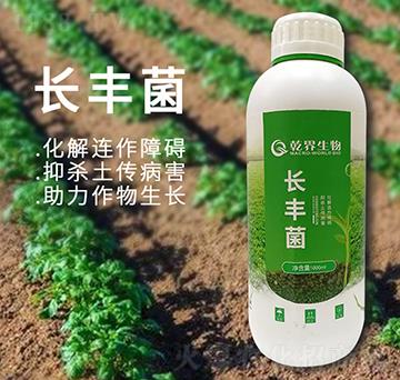 長(zhǎng)豐菌-乾界生物