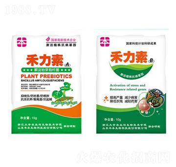 �߲˹���־��x����-�S������