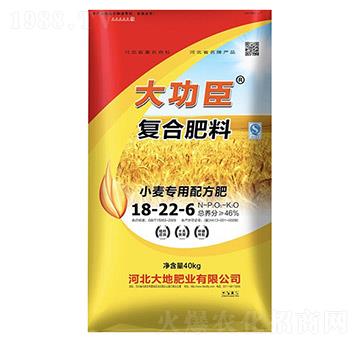 小麥專用配方肥18-22-6-大功臣-大地肥業(yè)