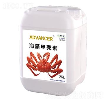 ����ך���-��֮��