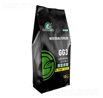 ��������-����-��֮��