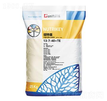 ������ԭ�b�M��13-7-40+TE-��֮��