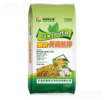 �����S�����-��������