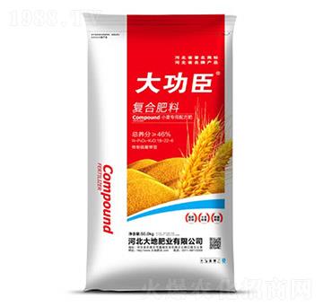 小麥專用復(fù)合肥料18-22-4-大功臣-大地肥業(yè)