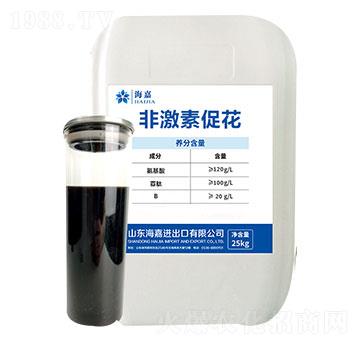 �Ǽ��شٻ���-����