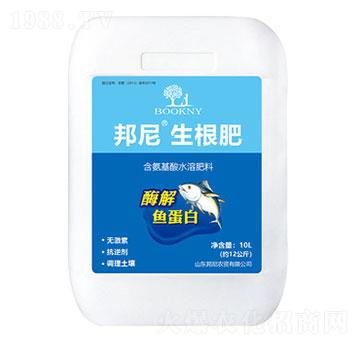 ø���~����-����������-����