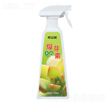 ���ⱬѿ��-�r(n��ng)������