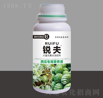 ���ό��àI(y��ng)�B(y��ng)Һ-�J��-�Ϙ��˹�Z