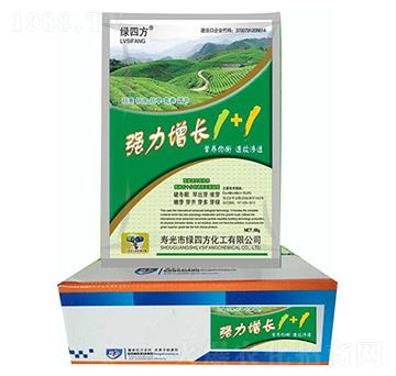 ������1+1-�G�ķ�