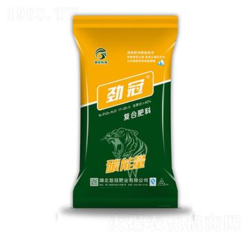 �ͺϷ���17-20-5-̼����-�Ź�