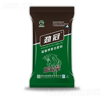 ����⛏ͺϷ���16-16-8-̼����-�Ź�