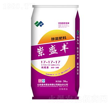 �������17-17-17-ʢ�S�ʘI(y��)