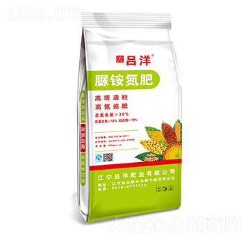 ���@����-����ʘI(y��)