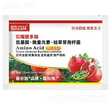 ʯ��̶��-�κ�����