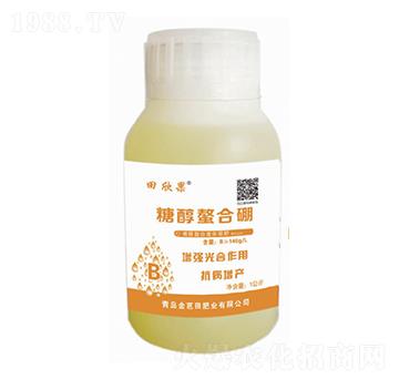 �Ǵ�������-������-�����