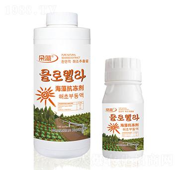 ���忹����-����-���Վ�����