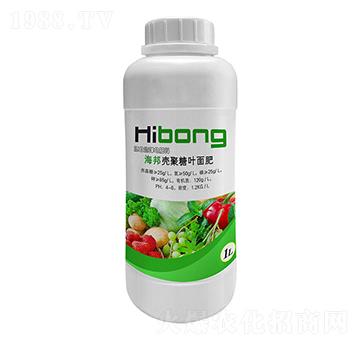 �����~���-�������