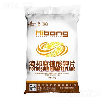 ��ֲ���Ƭ-�������