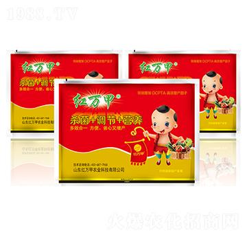 ���｡�����a�ײ�-�t�f��