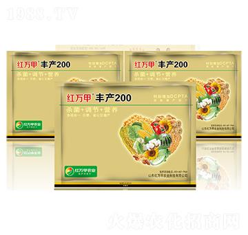 �S�a200-�t�f��