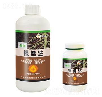 �����_(d��)-Ɲ��-�Ʒ����