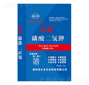 ��������-ϲؐ-�у|��