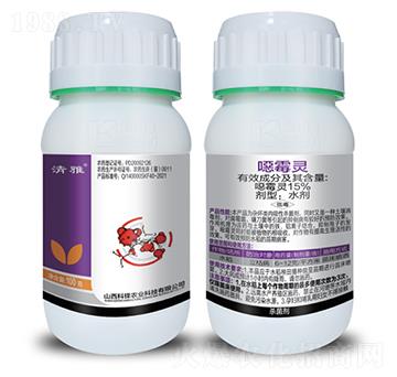 15%�fù�`-����-���h�r�I(y��)