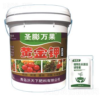 黃金鉀-圣膨萬果-沃天下