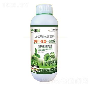 黃葉死苗一噴綠-來綠-沃天下