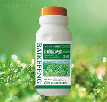 茶樹(shù)催芽先鋒-百科豐