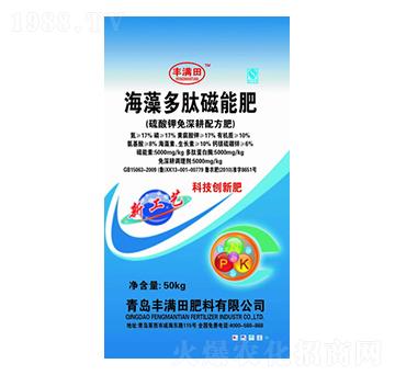 ������Ĵ��ܷ�-�S�M��