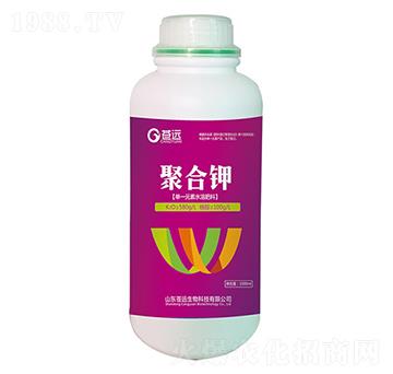 �ۺ��-�n�h����