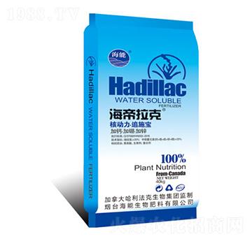 �˄���׷ʩ��-��������-����