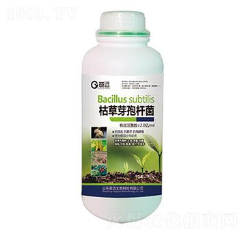 �ݲ�ѿ�ߗU��-�n�h����