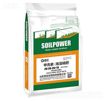 �ך��ء����徫��20-20-20+TE-�n�h����