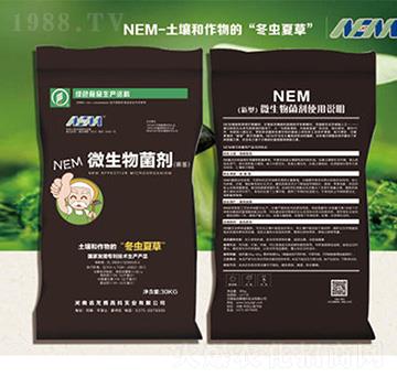 30����NEM΢�������-���v�߿�