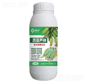 含氨基酸水溶肥-西葫蘆神膨大順直拉長-金億豐