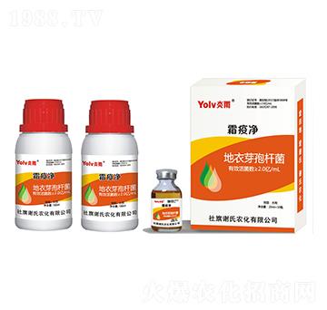 ����ѿ�ߗU��-˪�߃�-�x���r(n��ng)��