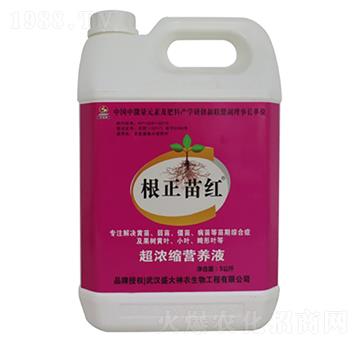 超濃縮營(yíng)養(yǎng)液-根正苗紅-盛大生物