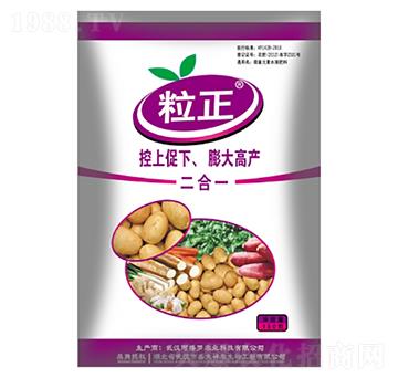 塊莖專用型-粒正-盛大生物