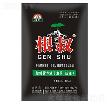 30g根叔-盛大生物