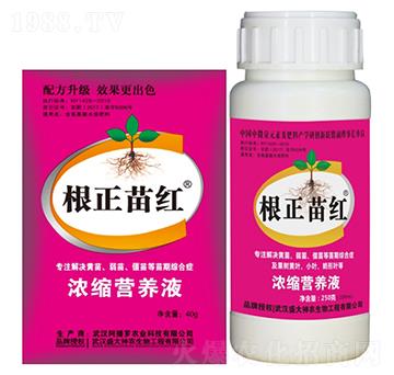 根正苗紅-盛大生物