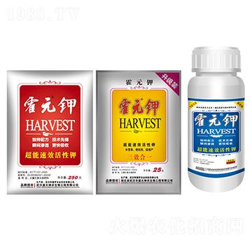 霍元鉀-盛大生物