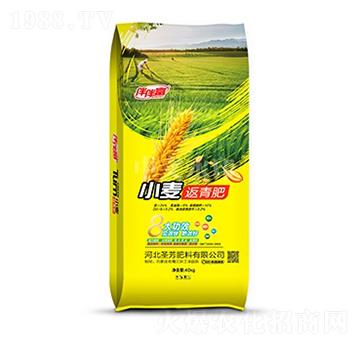 С�������-��鸻-���r����