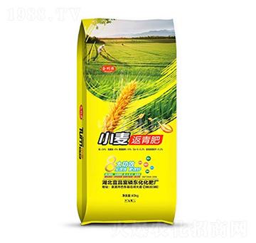 ����ԴС�������-���r����