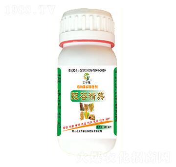 ֲ��ø����-���Ⱦ���-���A��