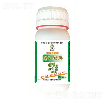 ֲ��ø����-���~����-���A��