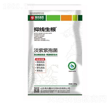 淡紫紫孢菌-抑線生根-壽光嘉禾