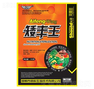 矮豐王-明科生物