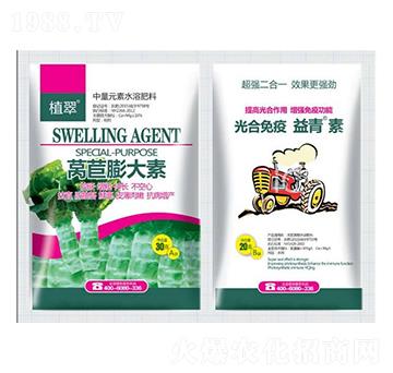 �n�������-�����S